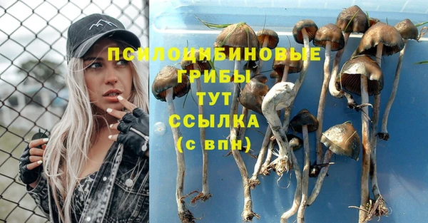 меф Балахна