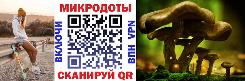 Псилоцибиновые грибы мицелий  Северо-Курильск 